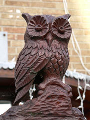 The Holt Owl